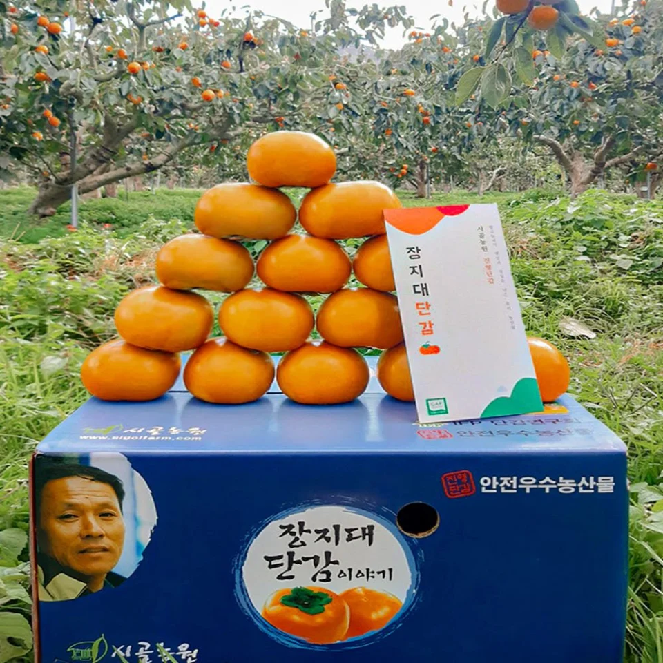 단감 태추단감 햇 진영 배 부유 배감 대추 태주 배단감 시골농원